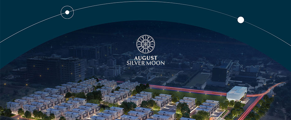 Website Designing Company in Delhi NCR